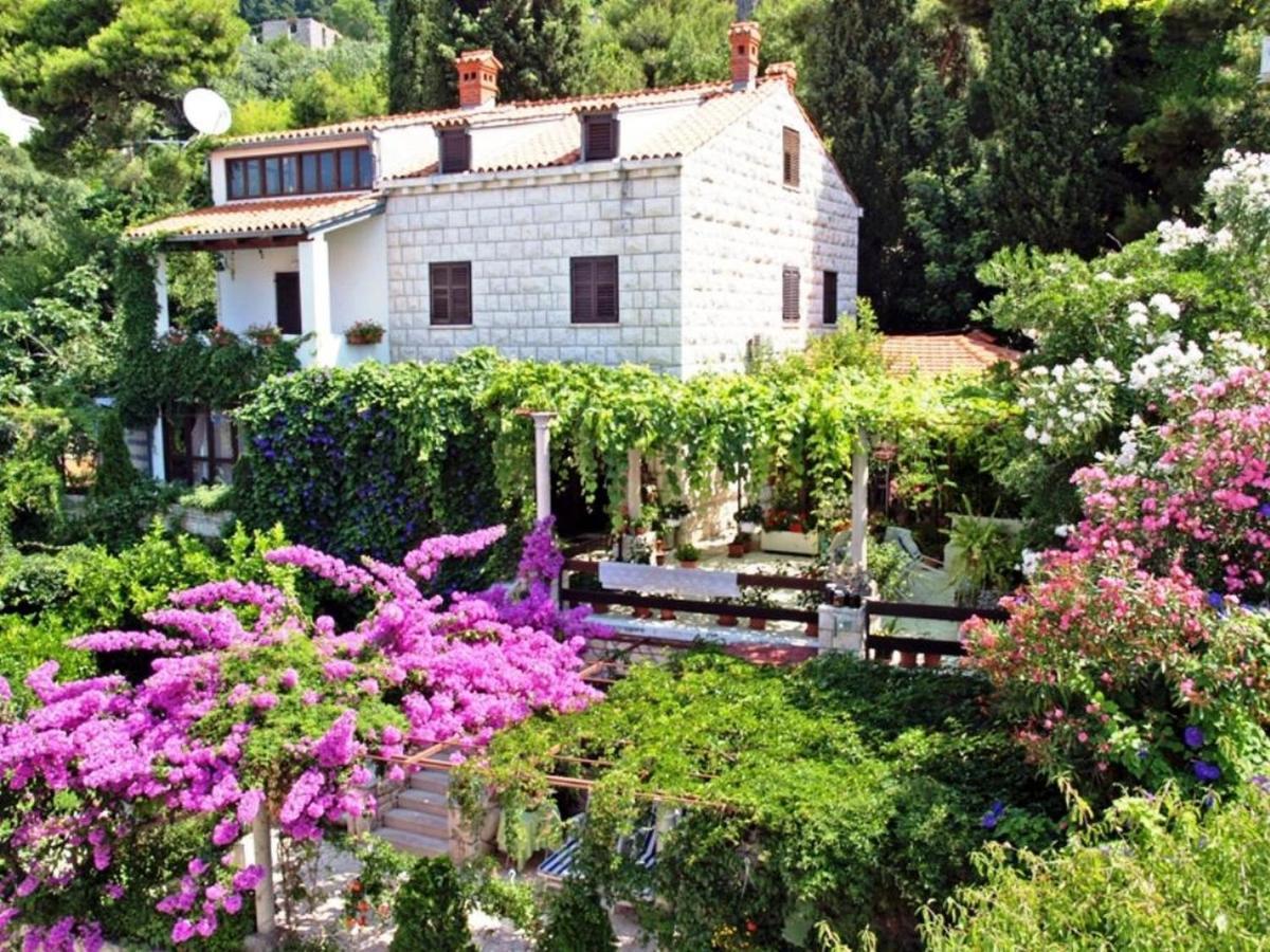 Guest House Foretic Dubrovnik Eksteriør billede